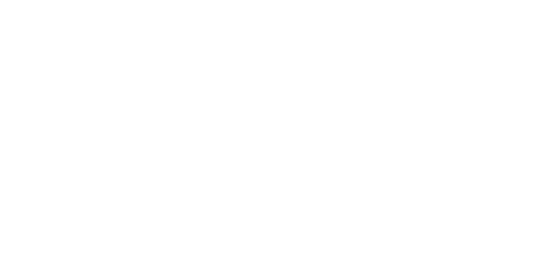anejud-chile-blanco-800